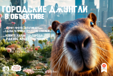 Городские джунгли в объективе