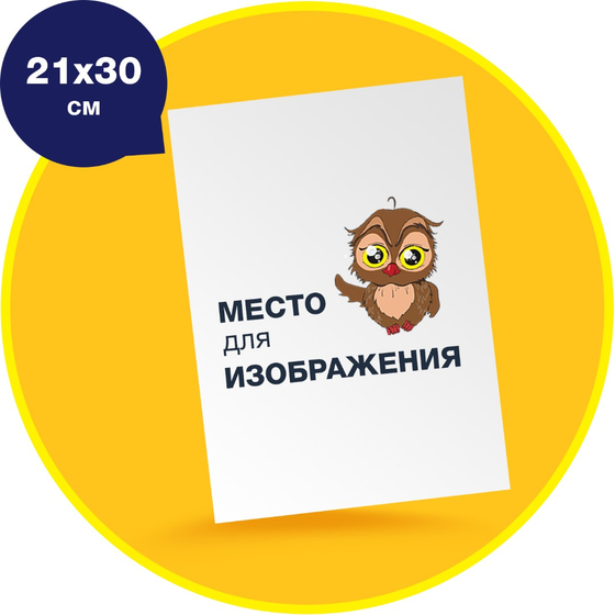 Фотомагнит на виниловой основе 21х30 см.